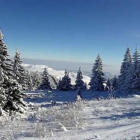 Feriested Milmari Mm L24