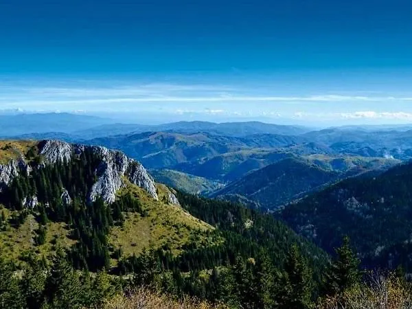 Milmari Mm L24 Resort