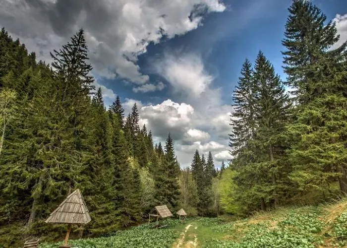 Milmari Mm L24 Resort *