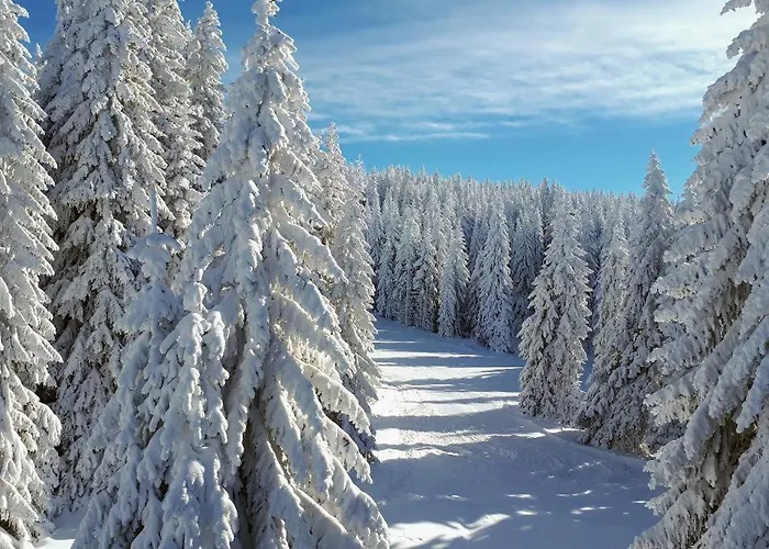 Milmari Mm L24 * Kopaonik