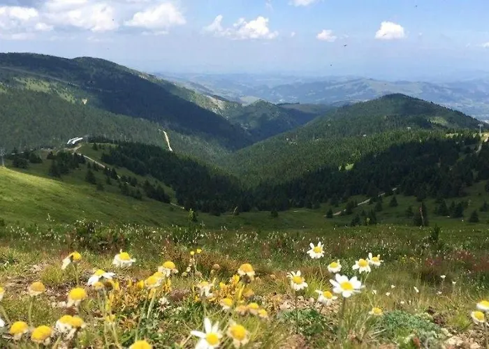 Milmari Mm L24 Resort Kopaonik