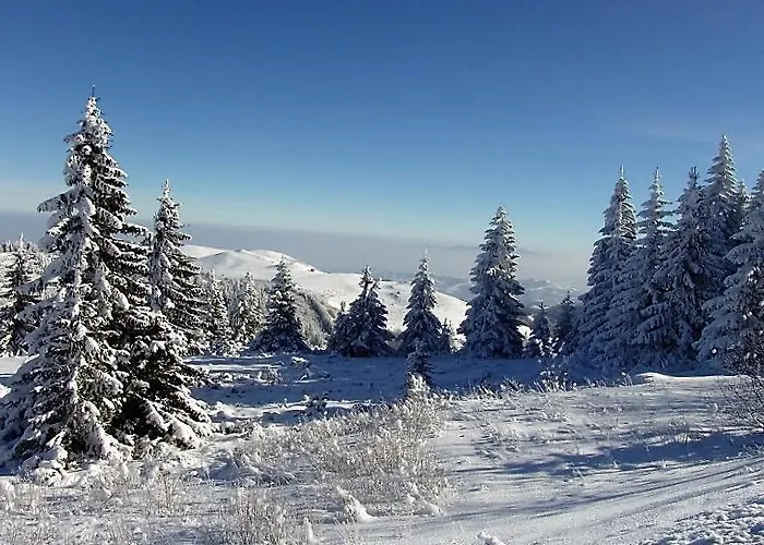 Resort Milmari Mm L24